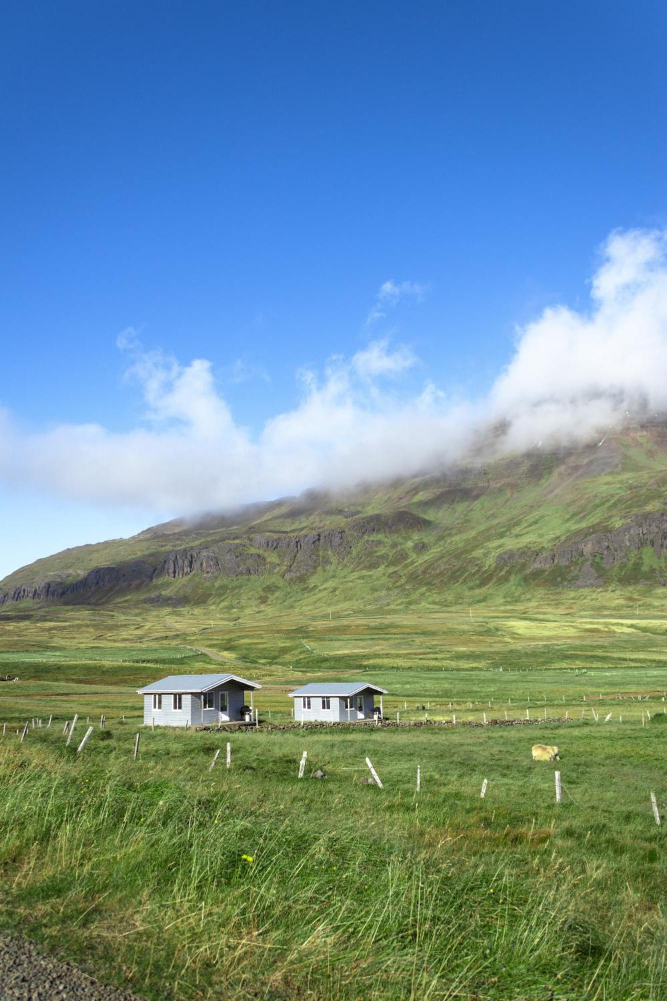 Northurfjorthur Urdartindur Guesthouse And Cottages חדר תמונה